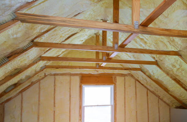Best Specialty Insulation in Seyur, MO